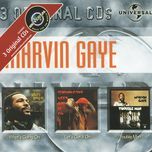 main theme from trouble man (2)(instrumental/soundtrack version) - marvin gaye