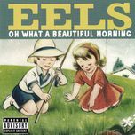 ant farm(live) - eels