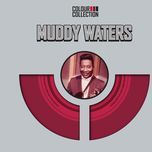 mannish boy(electric mud album version) - muddy waters