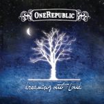 goodbye apathy - onerepublic