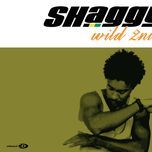 ready fi di ride(main version) - shaggy