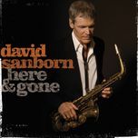 i believe to my soul - david sanborn, joss stone