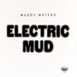 the same thing(1968 album version) - muddy waters