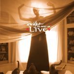 run away(2004 remix) - live, shelby lynne