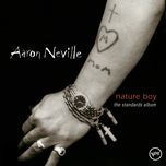 who will buy?(album version) - aaron neville