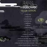 if it makes you happy(live - album only) - sheryl crow