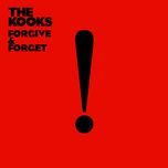 forgive & forget(yarin lidor remix) - the kooks