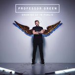 in the shadow of the sun - professor green