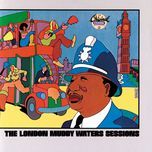 sad sad day(1972 version) - muddy waters