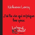 j’ai la vie qui m’pique les yeux(la bande a renaud, volume 2) - nolwenn leroy