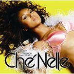 i fell in love with the dj (remix) - che'nelle