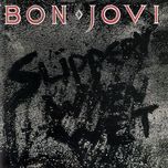 wanted dead or alive (acoustic version) (live) - bon jovi