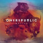 what you wanted (acoustic) - onerepublic