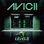 levels (the moog's remix) - avicii