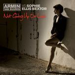 not giving up on love (mischa daniels mode) - armin van buuren, sophie ellis-bextor