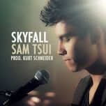 skyfall - sam tsui, kurt hugo schneider