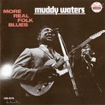 down south blues - muddy waters