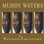 going down slow - muddy waters