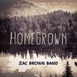 homegrown - zac brown band