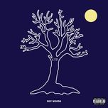 drama - roy woods, drake