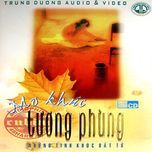 tinh nghe si - my dung