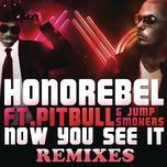 now you see it (afrojack remix) - honorebel, pitbull, jump smokers