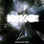 lick it (norman doray remix) - kaskade, skrillex