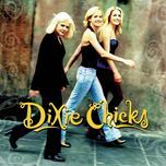 once you've loved somebody (album version) - dixie chicks
