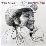 medley - willie nelson