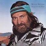 a whiter shade of pale (album version) - willie nelson