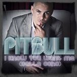 i know you want me (calle ocho) (radio edit) - pitbull