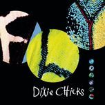 don't waste your heart (album version) - dixie chicks