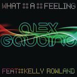 what a feeling (hjm remix) - alex gaudino, kelly rowland