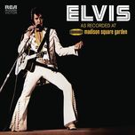 heartbreak hotel - elvis presley