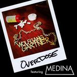 overdose (radio edit) - wolfgang gartner, medina