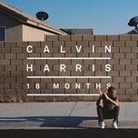 drinking from the bottle - calvin harris, tinie tempah