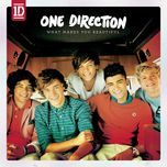 what makes you beautiful - one direction