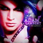 for your entertainment - adam lambert