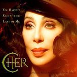 you haven't seen the last of me (almighty dub)  - cher