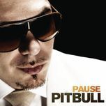 pause - pitbull