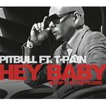 hey baby (drop it to the floor) (big syphe remix) - pitbull, t-pain