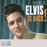 put the blame on me - elvis presley