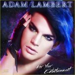 for your entertainment - adam lambert