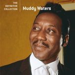 crosseyed cat - muddy waters