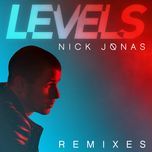 levels (alex ghenea radio edit) - nick jonas