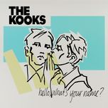 are we electric - the kooks
