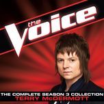 dude (looks like a lady) (the voice performance) - blake shelton, terry mcdermott
