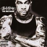 been through the storm - busta rhymes