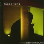i can see the future - incognito