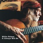 picture in a frame - willie nelson